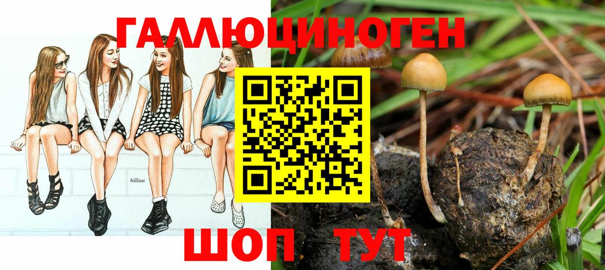 дарнет шоп  Вход с VPN  Волгодонск  Псилоцибиновые грибы MAGIC MUSHROOMS 