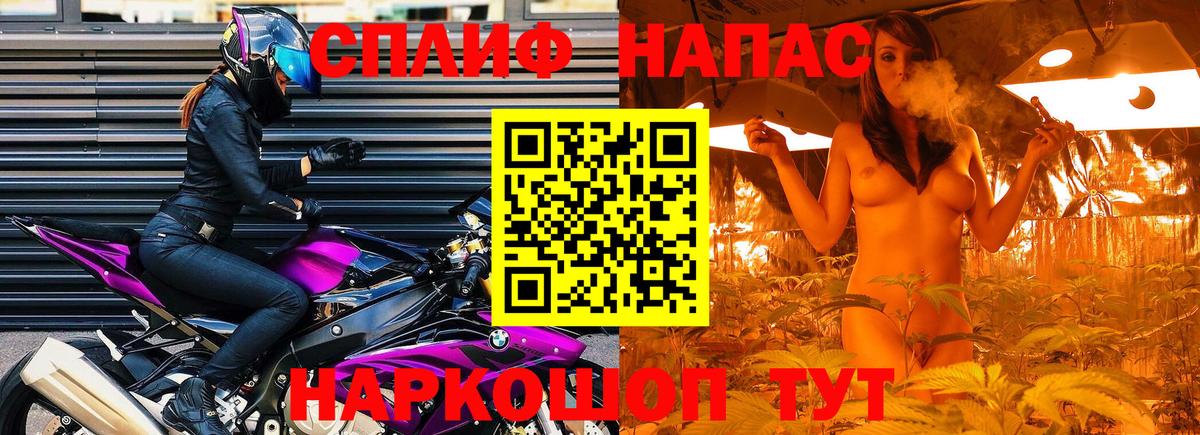 Бошки Шишки план Волгодонск